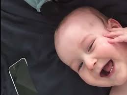Video Des Tages Ace Und Ihr Papa Lachen Sich Kaputt Video Des Tages