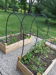 They're also easier to harvest since they are closer to eye level and are easier to spot. Diy Hoop House Trellis Your Projects Obn