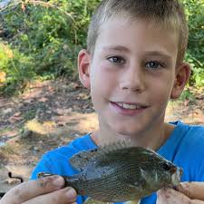ᐅ Rollins Lake fishing reports🎣• Teays Valley, WV (United States) fishing