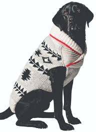 jackson shawl dog sweater at glamourmutt com