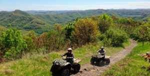 Hatfield Mccoy Trails Are