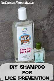 Diy Tea Tree Oil Shampoo Lice Prevention Tea Tree Oil Shampoo Tea Tree Shampoo Tea Tree Oil Benefits