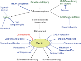 Schmerzmittel (Analgetika) | SpringerLink