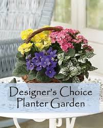 Maybe you would like to learn more about one of these? London Florist Flower Delivery By Richmond Florist