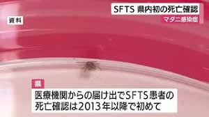 FNNプライムオンライン - News update