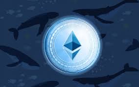 250+ coins, margin trading, derivatives, crypto loans and more. 100x Scaling Coming To Ethereum Vitalik Confirms By Btc Peers