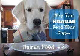 Most of the foods that are good for us humans are also good for our dogs, and the reverse is true too. Why You Should Feed Your Dog Human Food