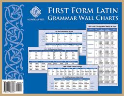 first form latin grammar wall charts