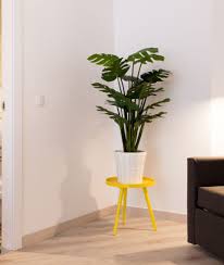 Apartamentos Wallace