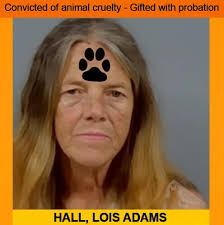 at least we got horse this time