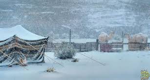(february 17, 2021) camels 'confused' by snow as. Snow Tabuk Saudi Arabia Ø«Ù„ÙˆØ¬ ØªØ¨ÙˆÙƒ By Turki Aradi On 500px Tabuk Snow Outdoor