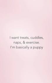 50 Positive Quotes To Make You Feel Happy Workout Quotes Funny Good Happy Quotes Funny Quotes