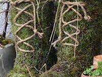 Niedlicher Mooshund Von Pflanzen Kolle Die Vielseitig Zu Dekorierende Hundefigur Aus Echtem Moos Uberzeugt Als Wirkungsv Dekorieren Niedlich Gartenaccessoires