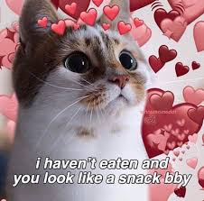 You Always Look Like A Snacc Cute Cat Memes Cat Memes Cute Love Memes