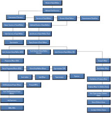 Organisational Structure Social Welfare Department