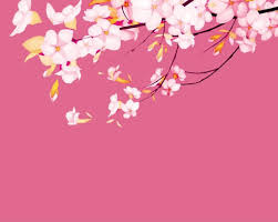 A collection of the top 66 sakura desktop wallpapers and backgrounds available for download for free. Sakura Wallpaper 4 1022x815