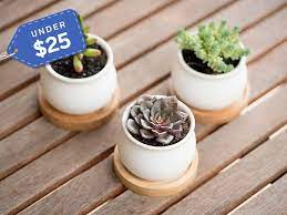 We did not find results for: 29 Clever Gifts For Coworkers That Won T Cost You More Than 50