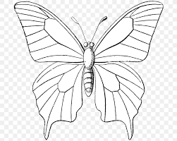 Black and white butterfly png. Monarch Butterfly Outline Drawing Clip Art Png 700x654px Butterfly Animal Area Artwork Black And White Download