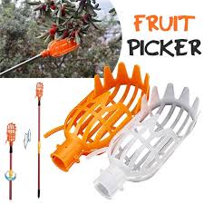 Place spheres near fruit clusters about three weeks after flower petals fall; Fruit Tree Portable Plastic Fruit Picker Catcher Fruit Picking Tool Gardening Farm Garden Hardware Buy At A Low Prices On Joom E Commerce Platform