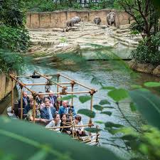 Finde zugtickets von amsterdam nach emmen. Wildlands Zoo Emmen Ausflugsziel Emsland Camp