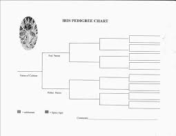 blank pedigree chart printable pedigree chart family tree