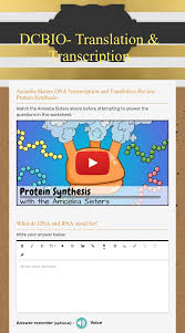 Comparing mitosis and meiosis worksheets. Dcbio Translation Transcription Interactive Worksheet By Nathan Melson Wizer Me
