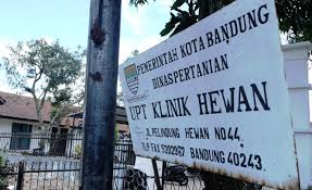 5 perkara perlu tahu tentang suntikan tifoid : Bandung Dispertapa Kota Bandung Sediakan Klinik Hewan Gratis