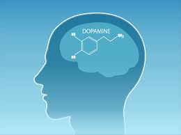 Image result for Dopamine