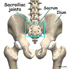 A lymph node is an organized collection of lymphoid tissue, through which the lymph passes on its way back to the blood. Lower Back Pain Or Could It Be Your Sacroiliac Joint All Care