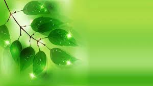 Branded virtual background creator for zoom video meetings. Green Cool Background Life Styles