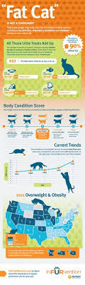 789 healthy pets animal hospital jobs available on indeed.com. 10 Pet Rehab Fitness Weight Management Ideas Animal Hospital Pet Health Dog Exercise