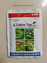 Cabrio Top 600WG.