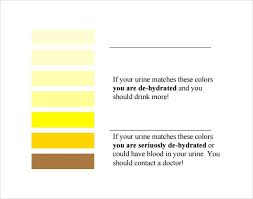 Sample General Color Chart | kicksneakers.co