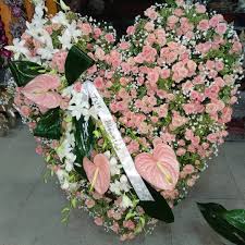 Floristería Regalos Arcos