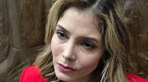 Habría presentado Brissa Arroyo documento para dejar sin efectos su  renuncia al GP-PRDM