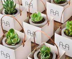 Bulk succulents for your special event! Vip Gifts Customized Succulent Gifts Succulent Potted Plants Customized Bulk Order Taiwan Design Pots Shop Succuland Plants Pinkoi