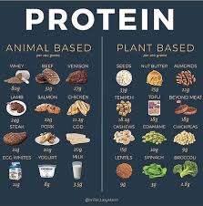 Pin By Kachou On Clean Eating In 2020 Food Animal Protein Vegan Protein
