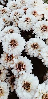 Pinterest Xokathrynnicole Zomerachtergronden Achtergronden Tumblr Achtergronden