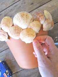 1001 Ideen Und Basteleinleitungen Zum Thema Basteln Mit Muscheln Basteln Mit Muscheln Basteln Muscheln