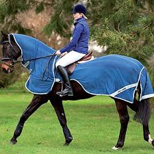 Find thousands of new & used boats, outboard motors, engines, trailers. Amigo Fly Rider Exercise Sheets Navy Buy Online In Gibraltar At Gibraltar Desertcart Com Productid 54833407