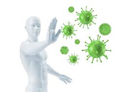 Buy high quality antibodies and antigens online. Epstein Barr Virus Ebv Hhv 4 Kann Tumore Verursachen