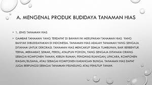 Jenis tanaman hias dan cara budidayanya. Budidaya Tanaman Hias Yandriana Wordpress Com Ppt Download