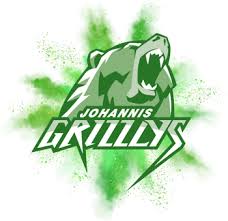 90475 löwenberger straße 1 nürnberg, de. Avia Bleibt Hauptsponsor Johannis Grizzlys