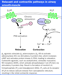 The β-agonist controversy revisited