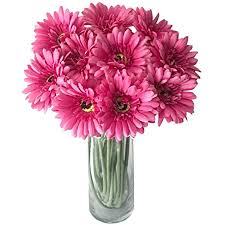 Rae's garden artificial flowers realistic fake flowers gerbera daisy bridal wedding bouquet for home garden wedding party decorations 10 pcs (white) 4.6 out of 5 stars 174. Amazon Com Rae S Garden Artificial Flowers Realistic Fake Flowers Gerbera Daisy Bridal Wedding Bouquet For Home Garden Wedding Party Decor 10 Pcs Dark Pink Home Kitchen