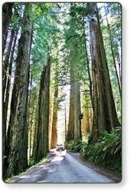 Check spelling or type a new query. Redwoods Camping Rv Parks Rv Parks And Campgrounds California Travel