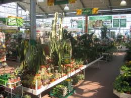 Grosster Obi Markt Osterreichs Eroffnet In Vosendorf