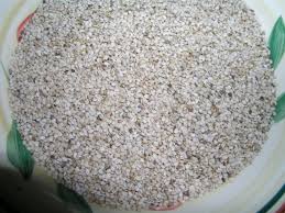 Image result for Sesamum calycinum