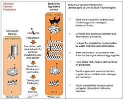 Check spelling or type a new query. Cell Culture For Producing Influenza Vaccines
