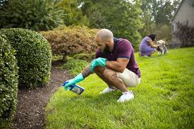 Lawn care software is for business owners to manage and run their businesses. Get A Lush Lawn With The Right Lawn Care Schedule